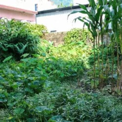 Property Owner Land avatar