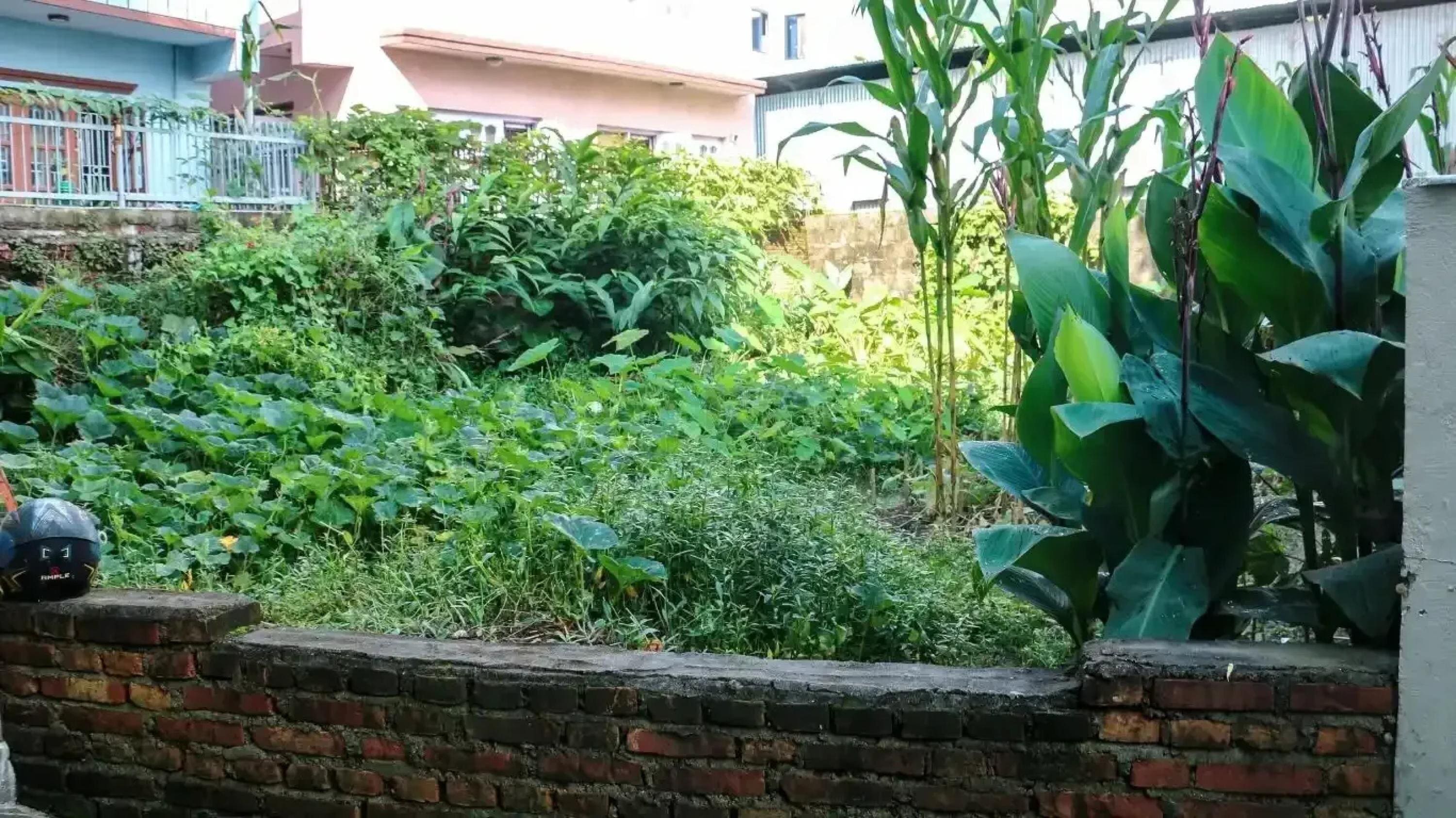 Property Owner Land cover photo